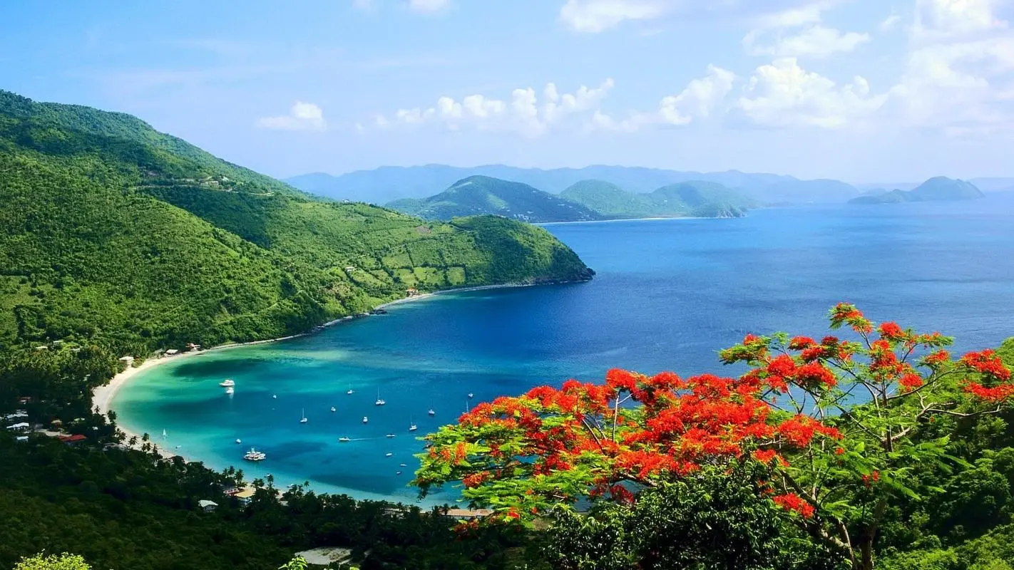 高性能新型自动化